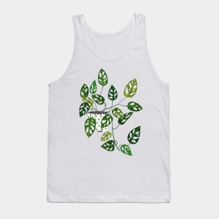 Monstera obliqua interior plant Tank Top